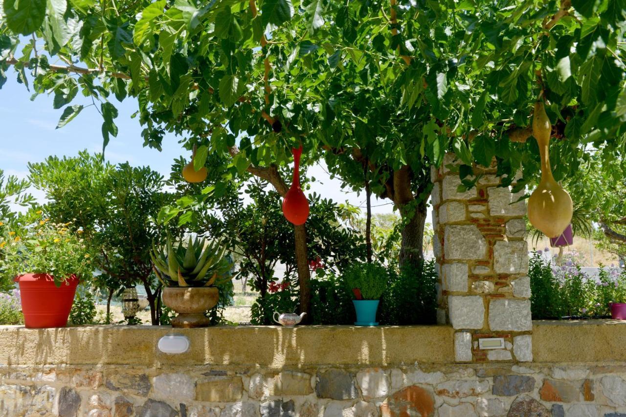 Athina'S Apartment In Olive Grove Faliraki Exterior photo